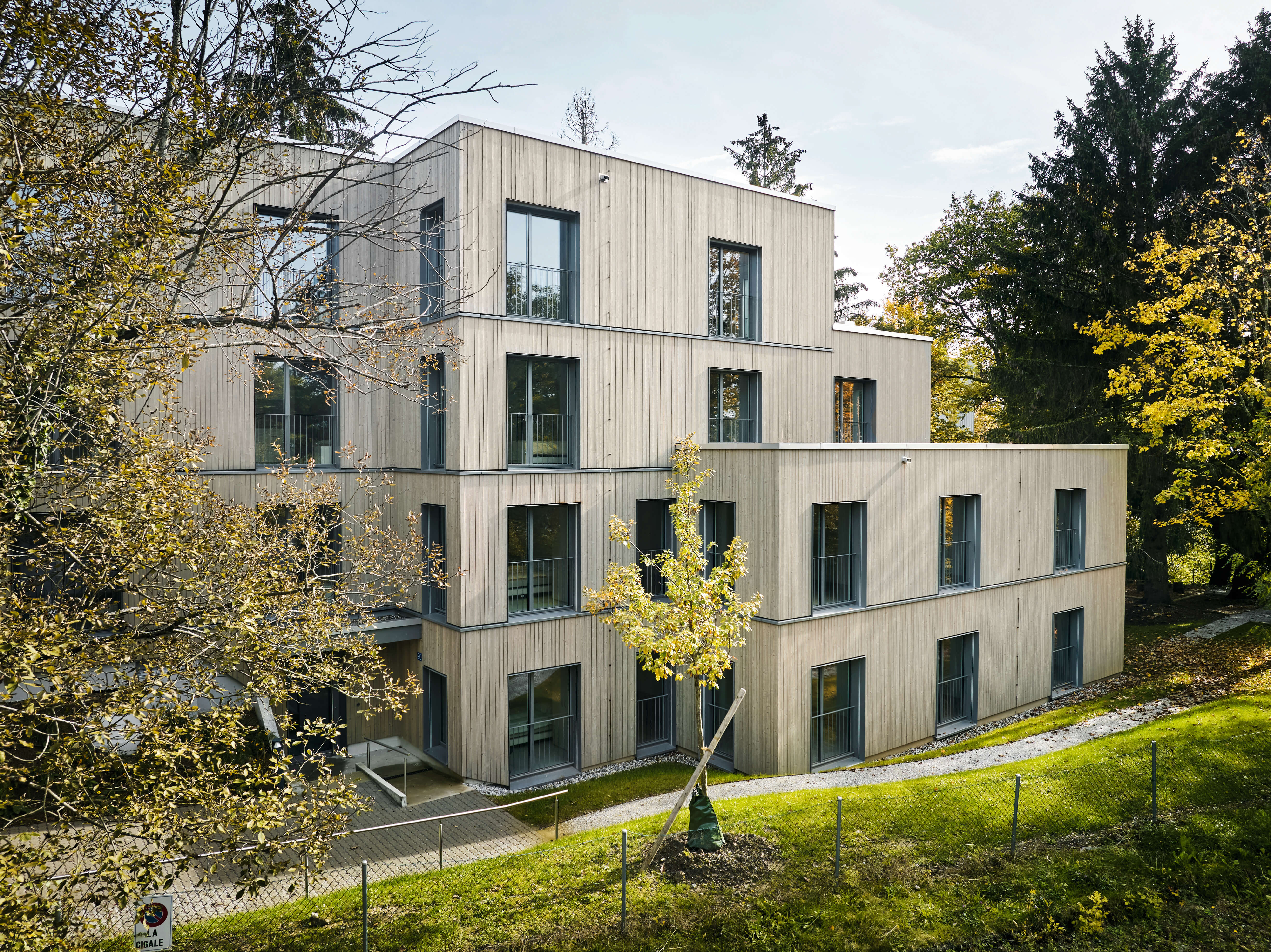 MFH Montolieu Lausanne_Renggli_ (2)_Copyright-Beat-Brechbuehl-Luzern-resize-3_compressed