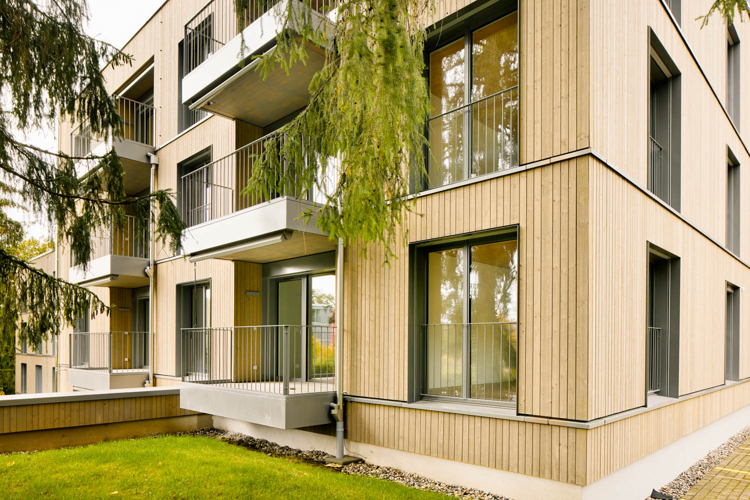 mfh_montolieu_lausanne_renggli___16__copyright_beat_brechbuehl_luzern
